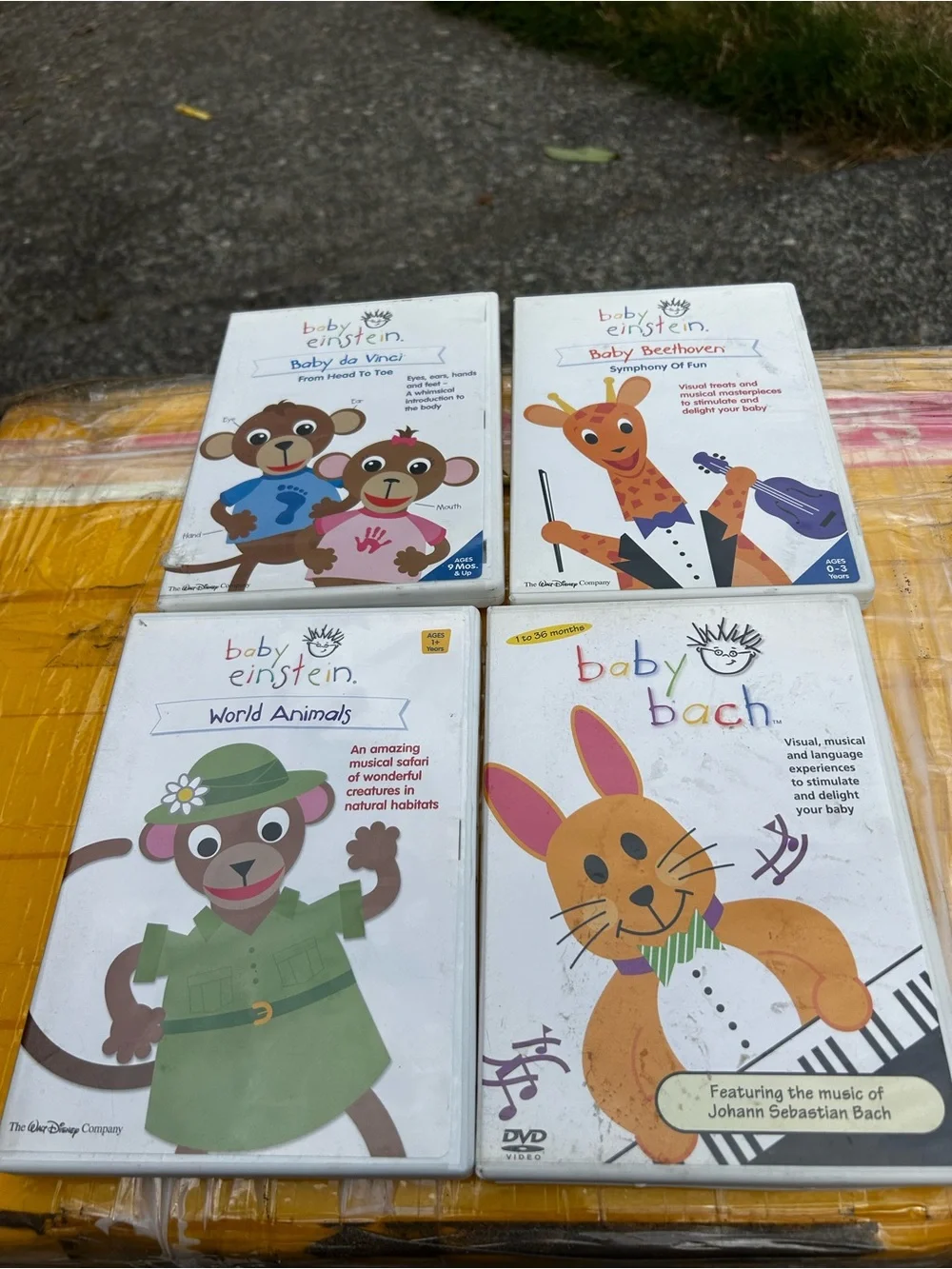 Baby Einstein World Animals DVD - White (4DVDS)
